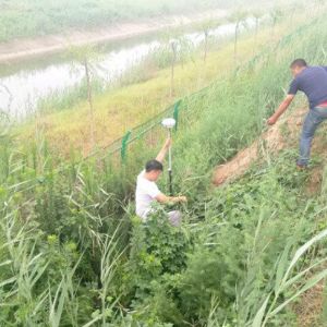 業(yè)務范圍